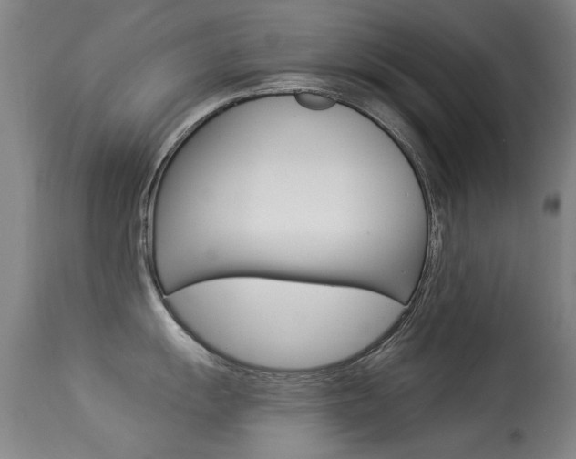 X0000113281055200909140936