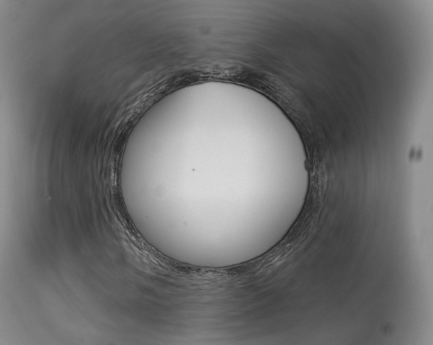 X0000113281058200909140936