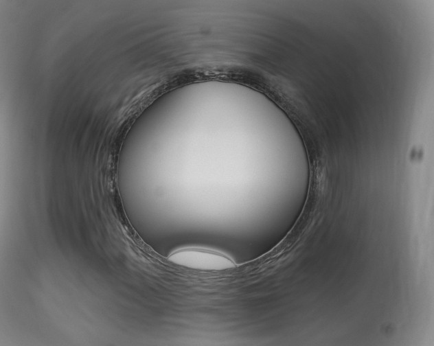 X0000113281060200909140936