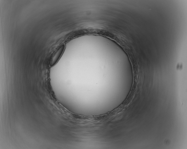 X0000113281061200909140936