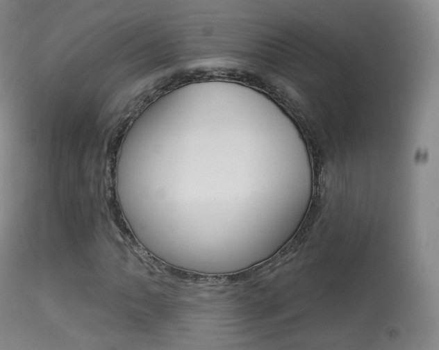 X0000113281062200909140936