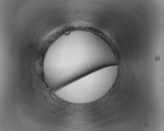X0000113281063200909140936