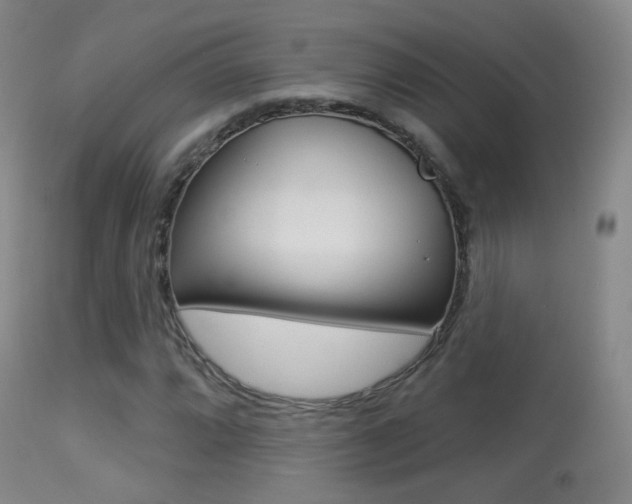 X0000113281064200909140936