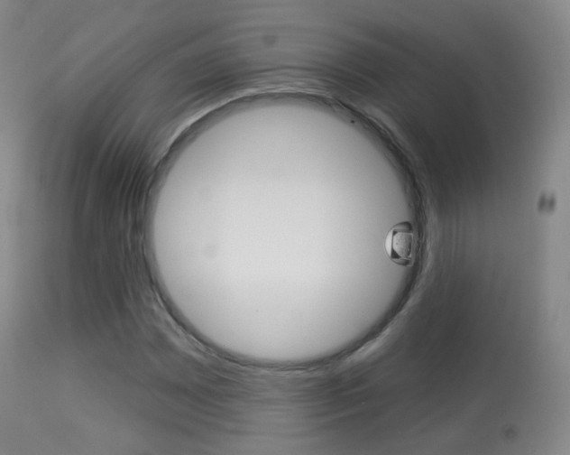 X0000113281065200909140936