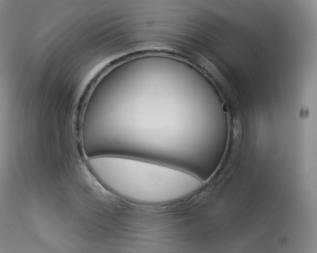 X0000113281068200909140935