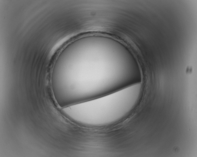 X0000113281069200909140935