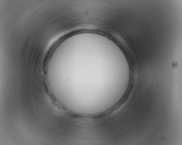 X0000113281070200909140935