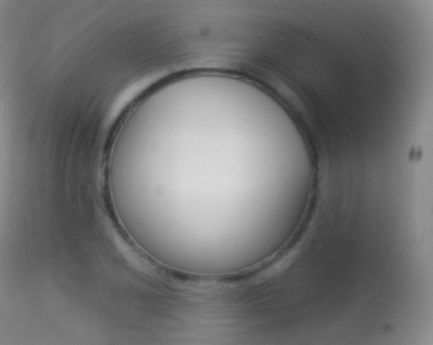 X0000113281077200909140935