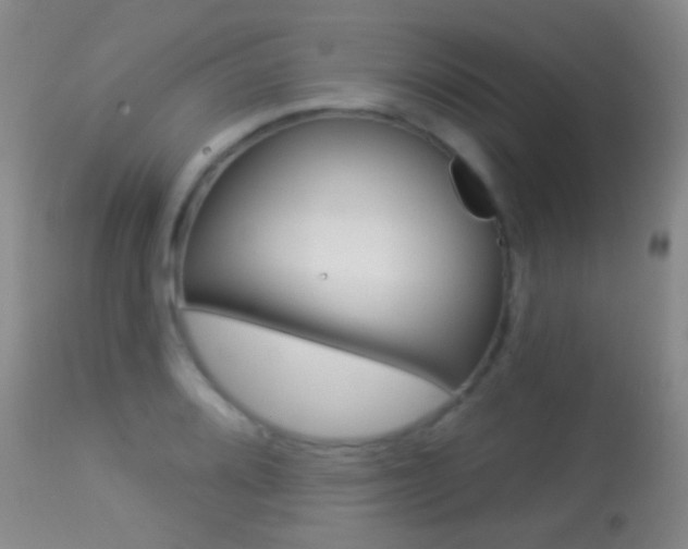 X0000113281080200909140935