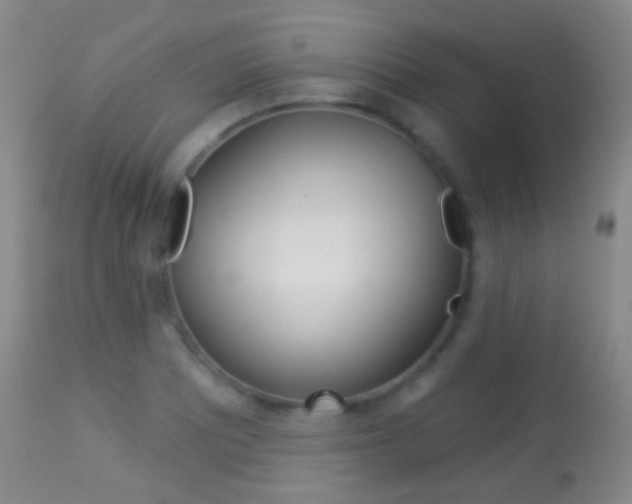 X0000113281081200909140935