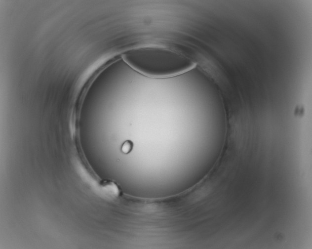 X0000113281084200909140935