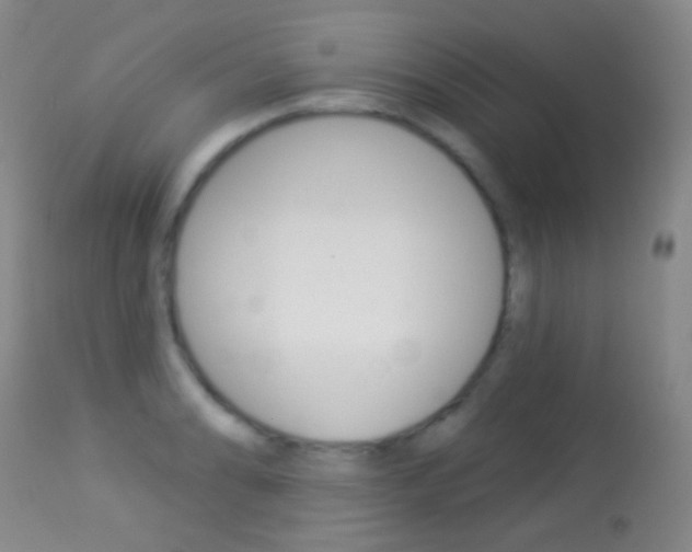 X0000113281086200909140935