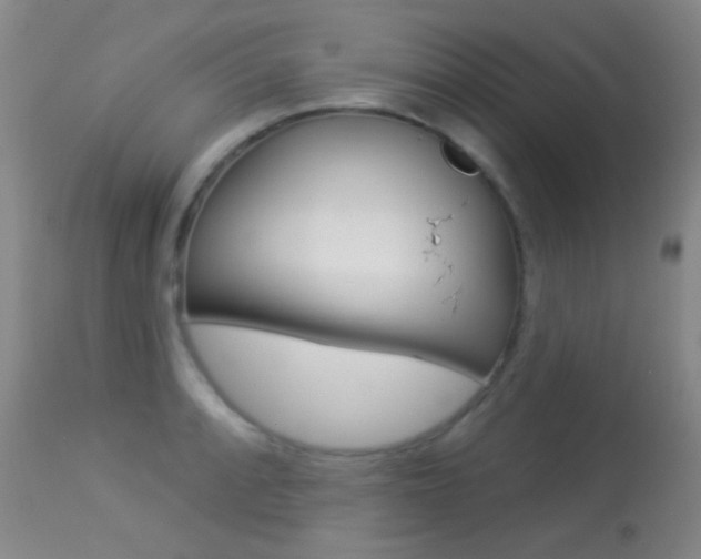 X0000113281088200909140935