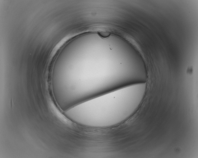 X0000113281091200909140935