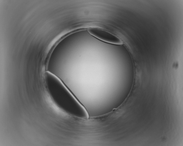 X0000113281092200909140935