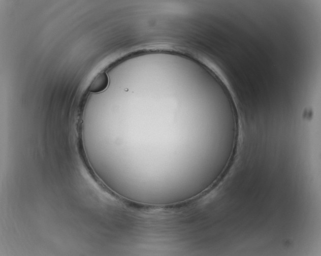 X0000113281093200909140935