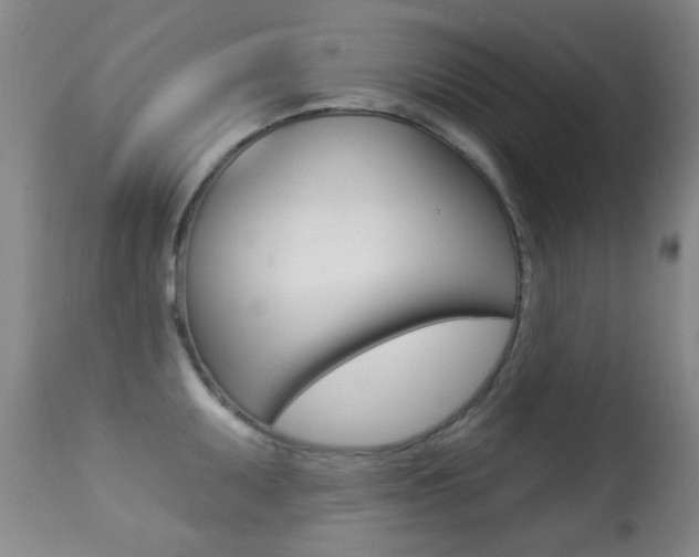 X0000113281095200909140935