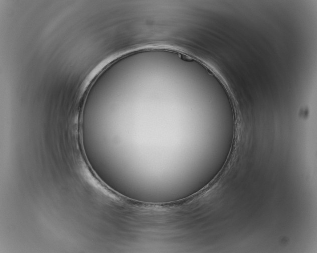 X0000113281100200909140935