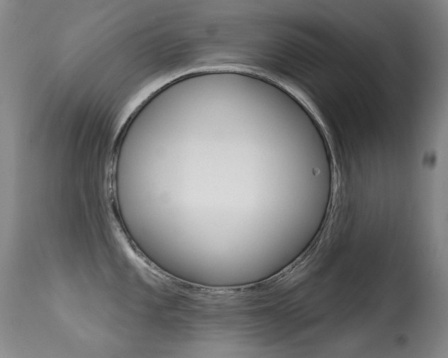 X0000113281101200909140935