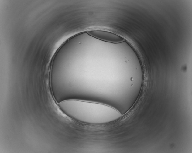 X0000113281102200909140935