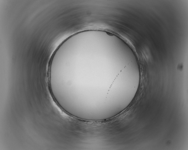 X0000113281103200909140935