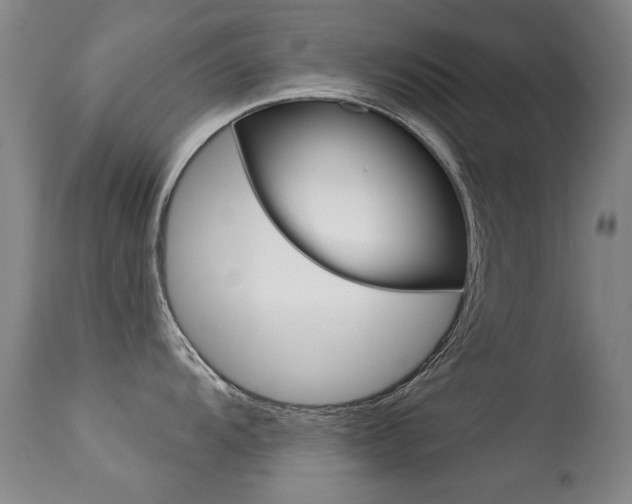 X0000113281104200909140935