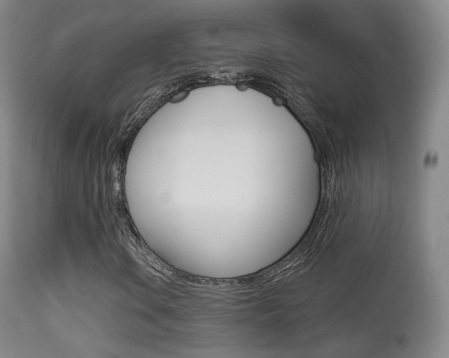 X0000113281106200909140934