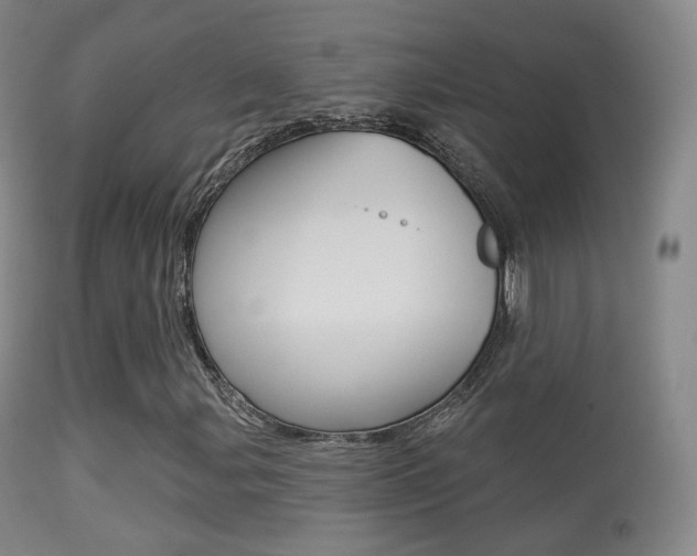 X0000113281107200909140934