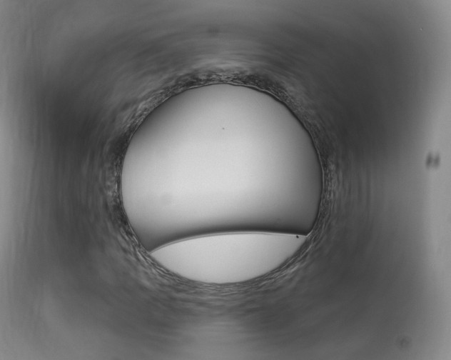 X0000113281109200909140934