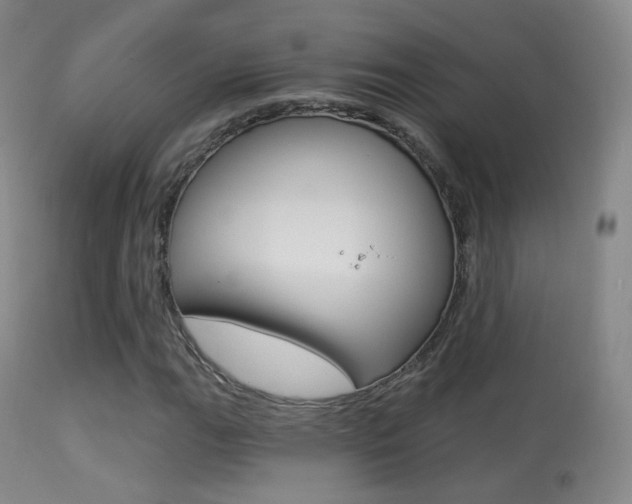X0000113281111200909140934