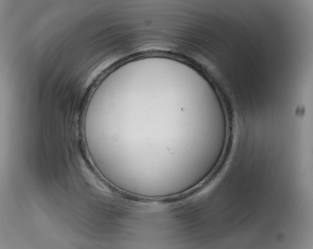 X0000113281113200909140934