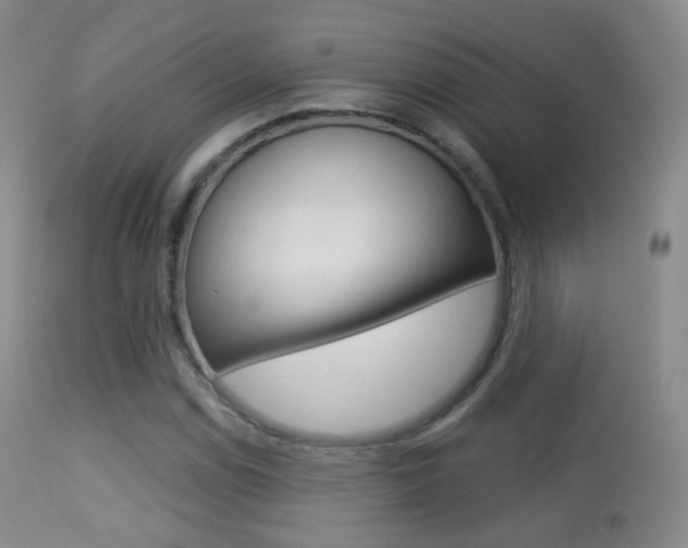 X0000113281114200909140934