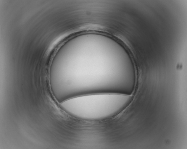 X0000113281115200909140934