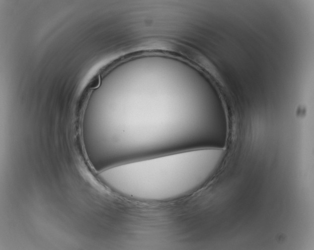 X0000113281116200909140934