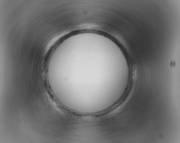 X0000113281117200909140934