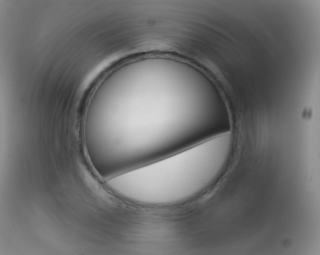 X0000113281118200909140934