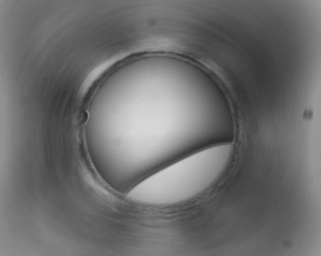 X0000113281120200909140935