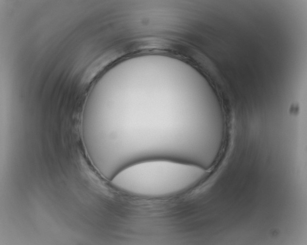 X0000113281121200909140935