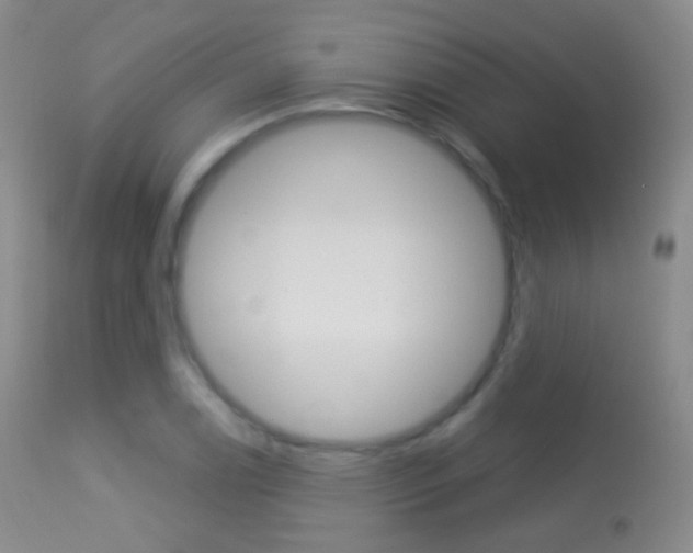 X0000113281122200909140935