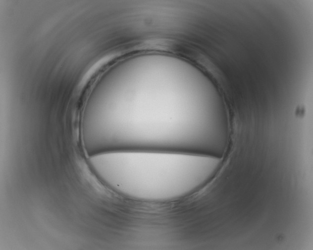 X0000113281123200909140935