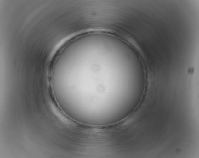 X0000113281124200909140935