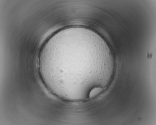 X0000113281125200909140935