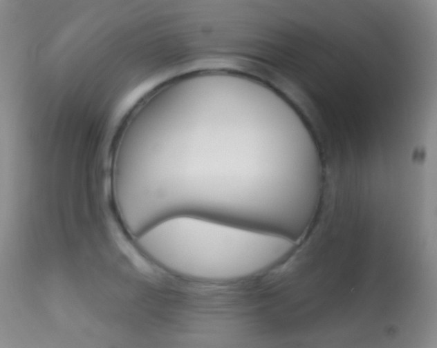 X0000113281127200909140935