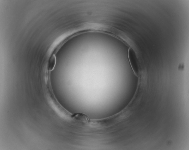 X0000113281128200909140935