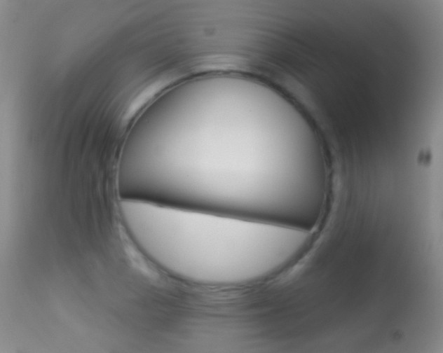 X0000113281129200909140935