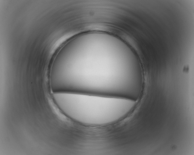 X0000113281133200909140935