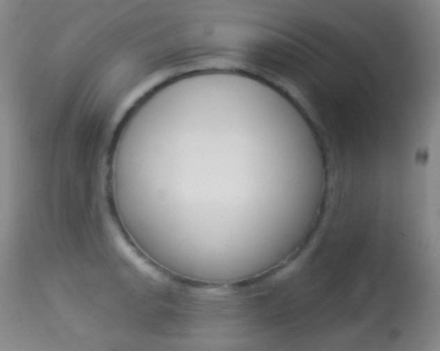 X0000113281134200909140935