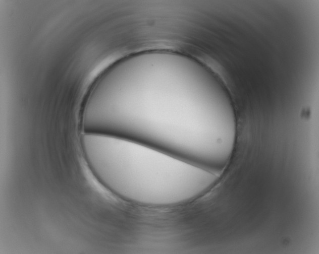 X0000113281135200909140935