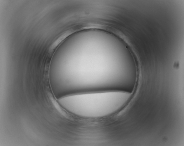 X0000113281137200909140935