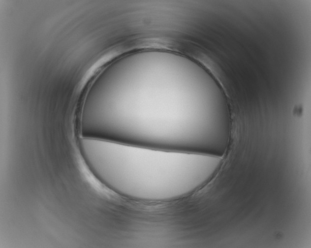 X0000113281139200909140935